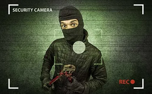 Cámara de videovigilancia y alarma conectada a central receptora